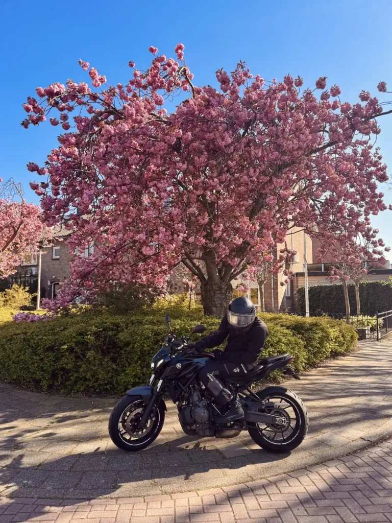 Rider parked beside a motorcycle under a pink blossom tree