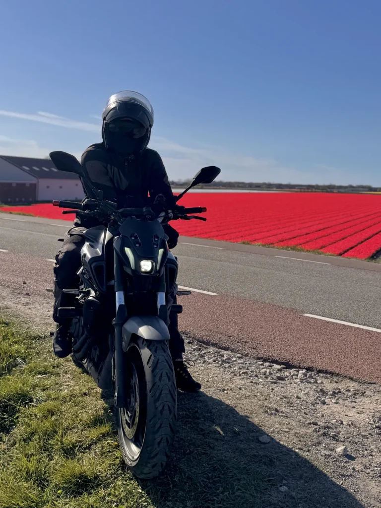 Rider on a motorcycle beside a bright tulip field road