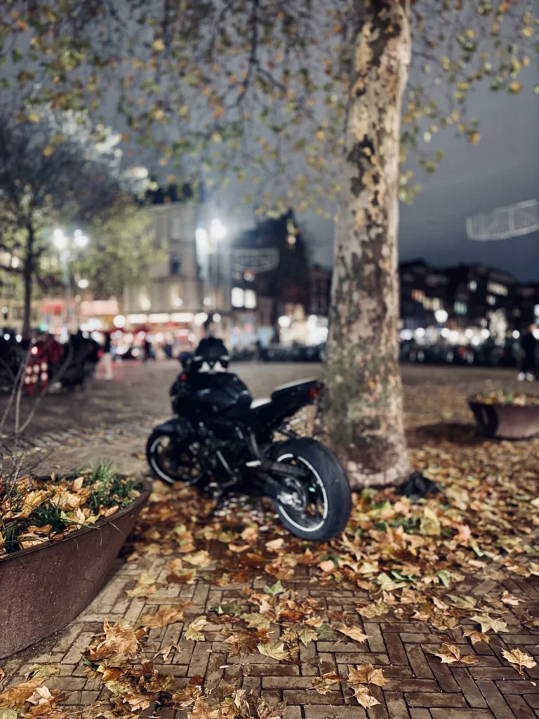 motorcycle parked near wet leaves on the road